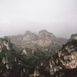 view of trees on top of mountain